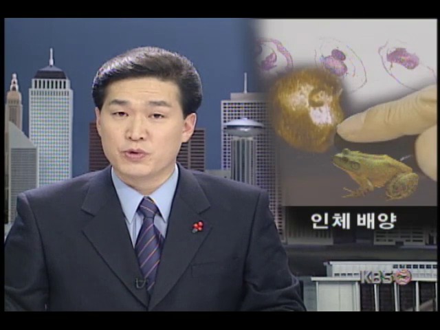 [오늘의 세계] 일본 도쿄대학 정한문화연구소, 인체 감각기관 배양 성공