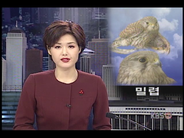 수렵지역, 천연기념물 희귀새들 수난