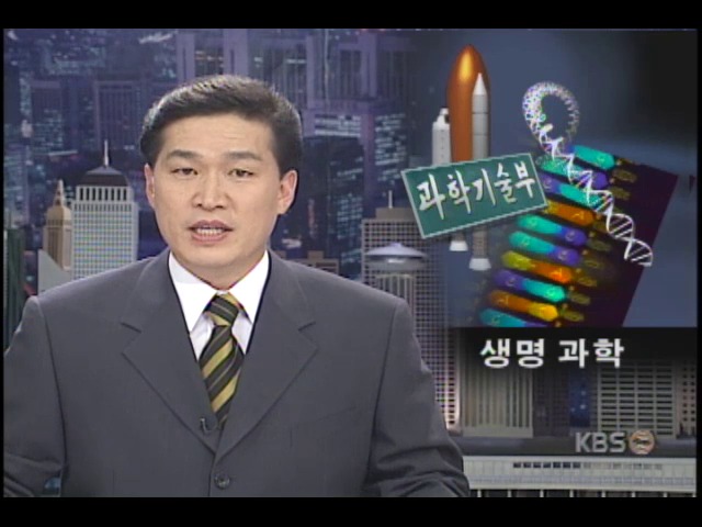 과학기술부, 2000년 업무보고 미래 유망 기술분야 집중투자 밝혀