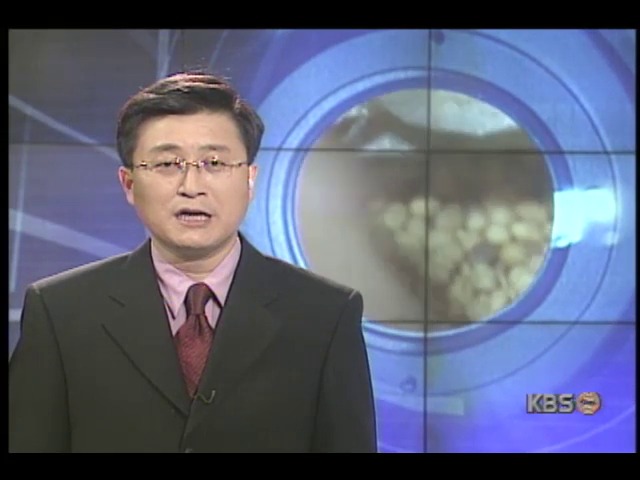 [집중취재] 국산콩 종자 부족으로 재배 엄두 못해
