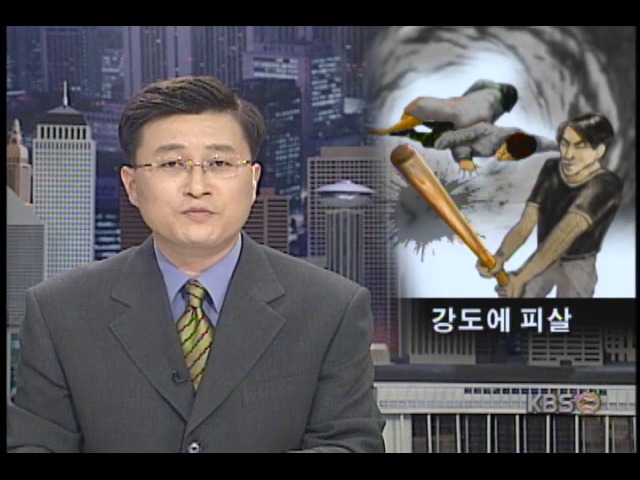 부산, 가정집 살인 강도사건으로 2명 사망