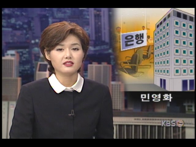 민영화 