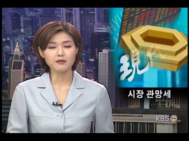 현대 자구책과 증시 