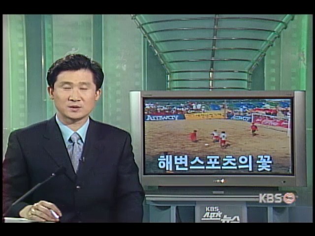 여름스포츠의 꽃 