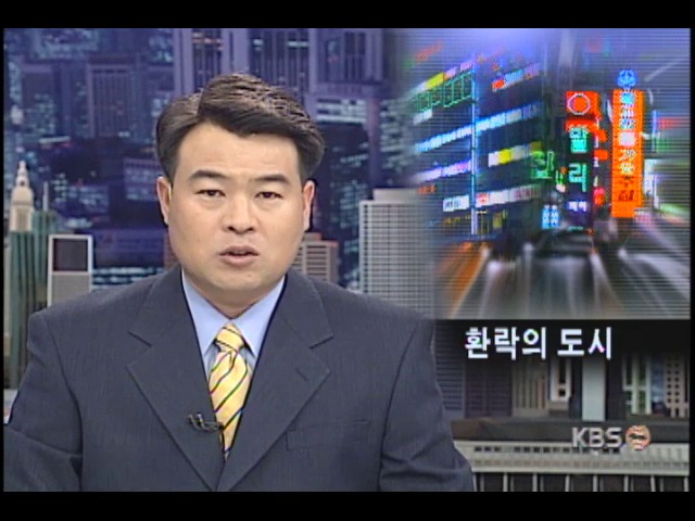수도권 신도시, 환락의 도시 