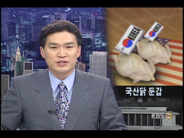 <현장추적>국산닭 둔갑 