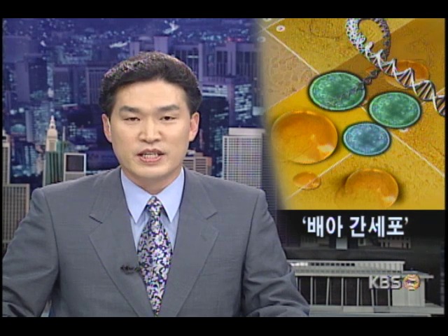 난치병 치료에 유용한 배아 간세포 배양 성공 