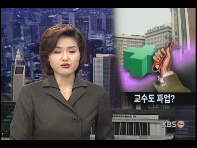 교수도 파업? 