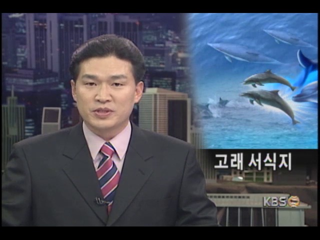 동해사는 고래 분포도 나왔다 