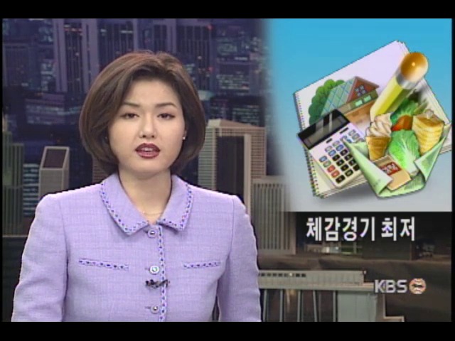 소비자 체감경기 사상 최악 