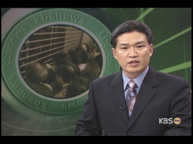 공적자금 삼키는 부실금고 