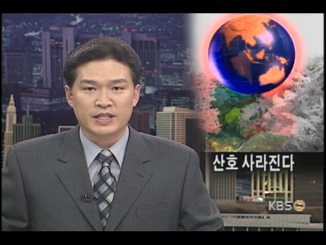지구 온난화로 산호가 사라진다 