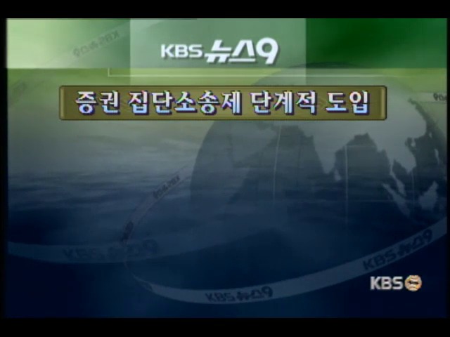 집단소송제 단계 도입, 집중 투표 유보 