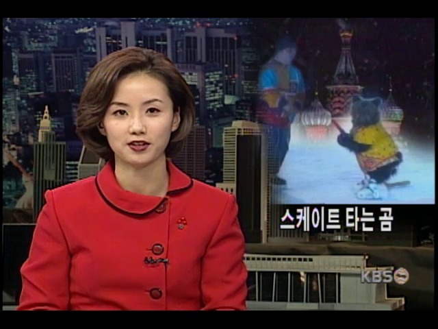<해외 화제>스케이트 타는 곰 