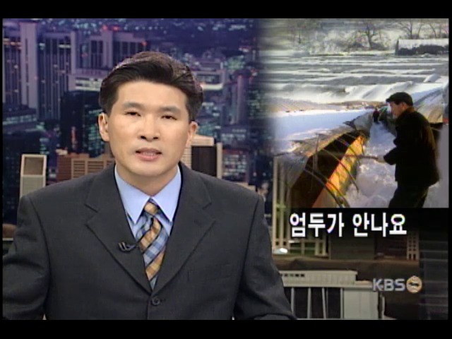 농촌 피해복구, '일손이 부족해요' 