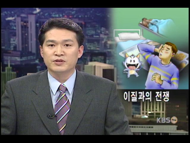 제주도, 이질과의 전쟁 선포 