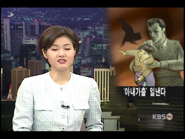 부인 가출이 부른 재앙 