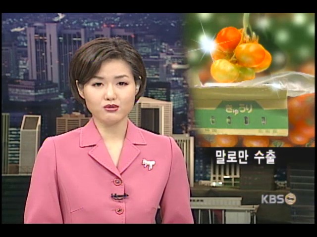 농산물 수출 전문단지, 내수판매 치중 