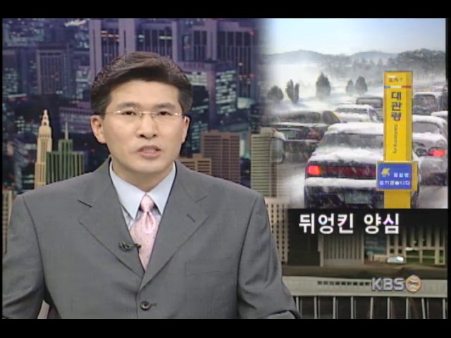 서로 먼저 가려다 뒤엉켜 