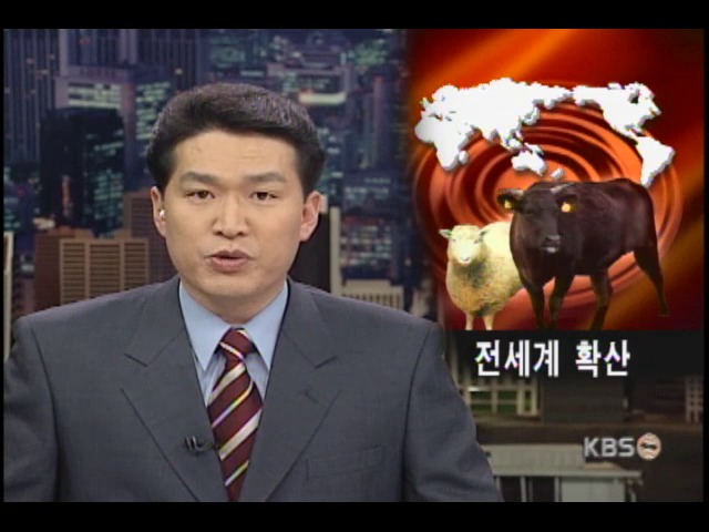 구제역 지구촌 확산 각국 비상 