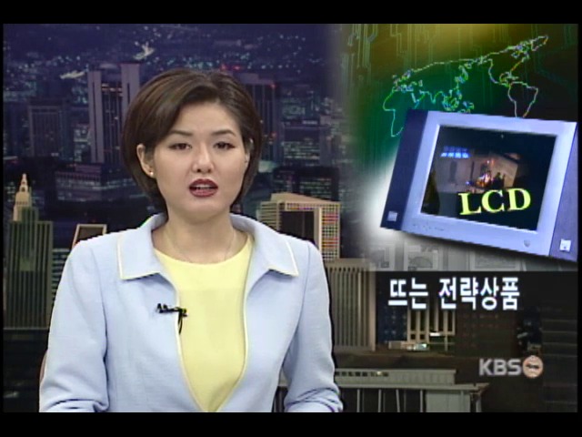 LCD 세계 시장을 제패하라 