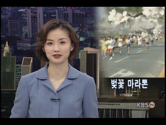 한일 벚꽃길 시민 마라톤 
