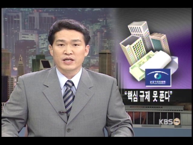 출자총액 제한 폐지 불허 방침 