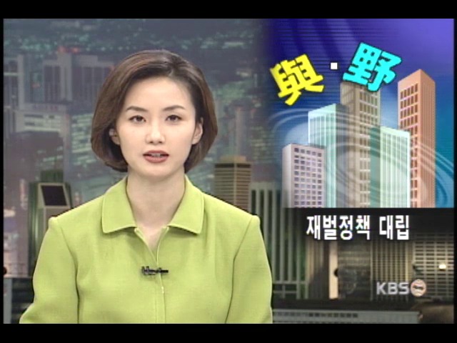 여.야 재벌정책 대립 