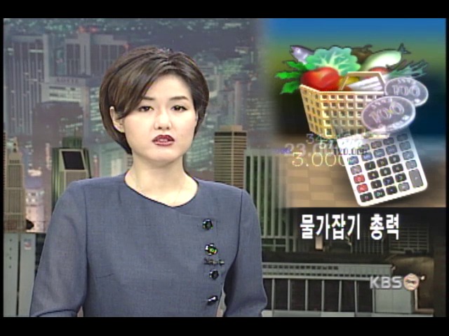 정부, 장바구니 물가 잡기 나서 