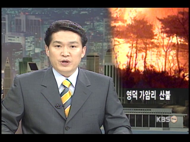 영덕 가암리 산불 