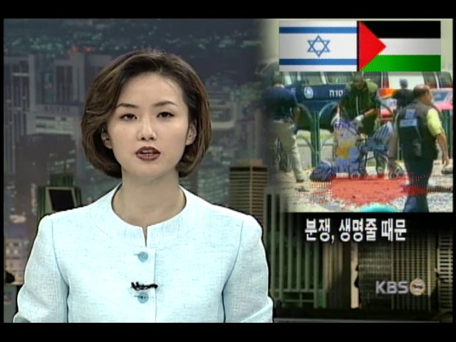 이, 자폭테러에 전투기 공습 보복 