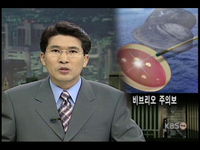 비브리오 패혈증 주의보 발령 