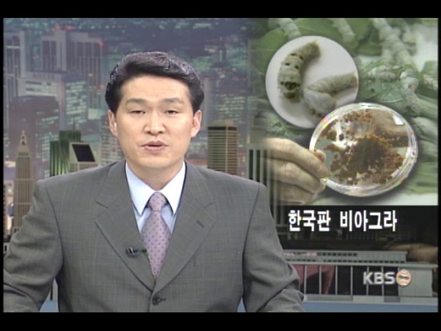 한국산 비아그라, 누에그라 개발 