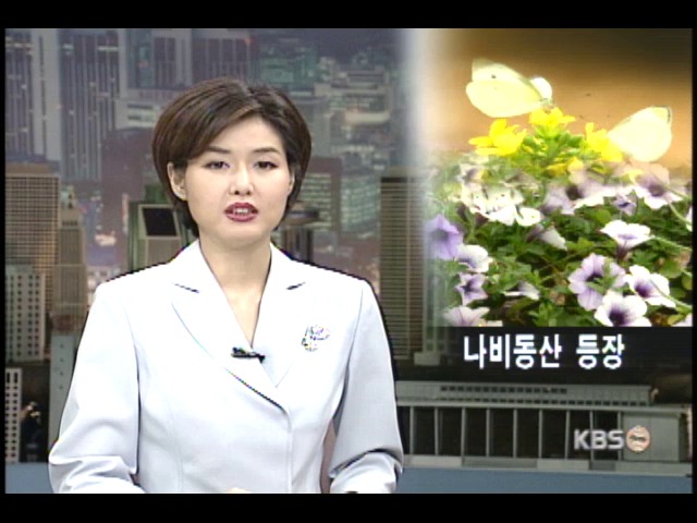 월드컵동산을 나비동산으로 