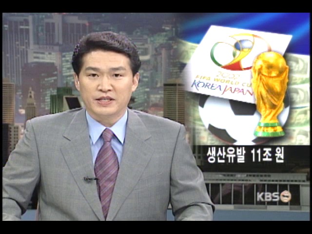 월드컵 경제적 효과 16조 8천억 원 