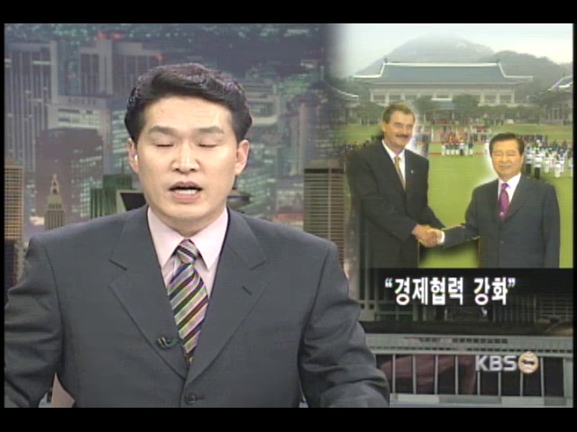 한·멕시코 정상회담 