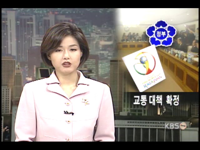 월드컵 준비 범정부적 지원 