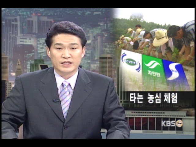 가뭄현장에서 들어본 타는 농심 
