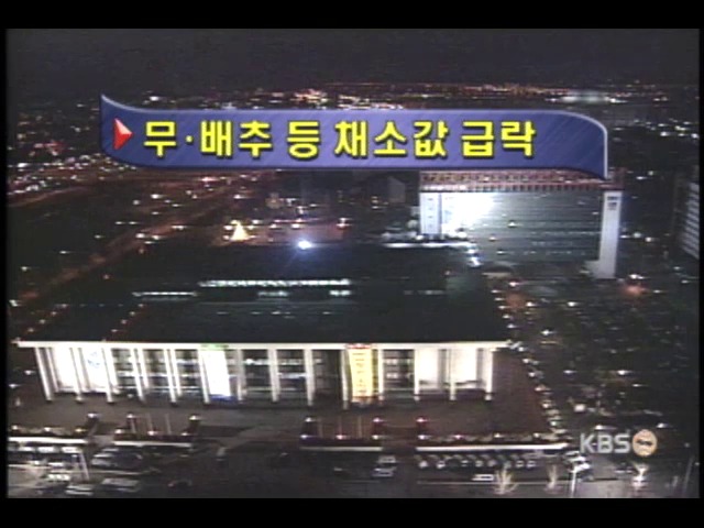 배추.무 값 급락세 