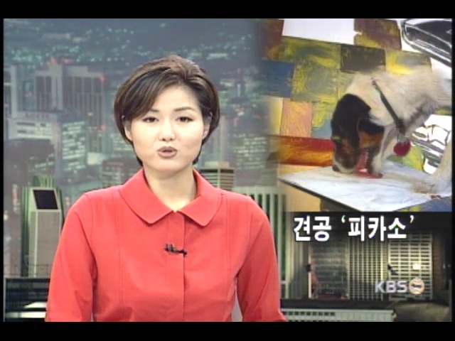 미국 견공 그림 인기 