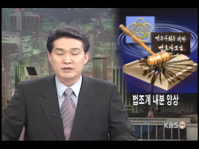 법조계 분열 양상 