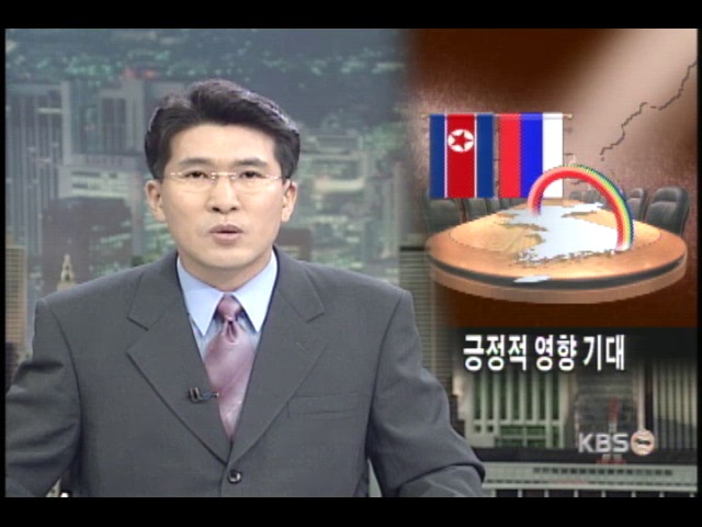 북-러 정상회담 남북 관계 활성화 기대 