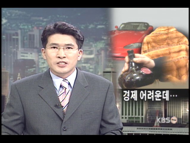 사치성 소비재 수입 급증 