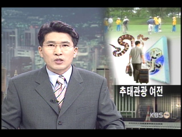 해외여행 추태관광 여전 
