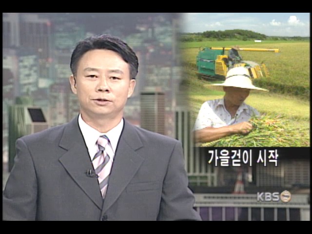올해 첫 노지 벼수확 