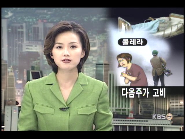 콜레라 환자 100명 넘어 