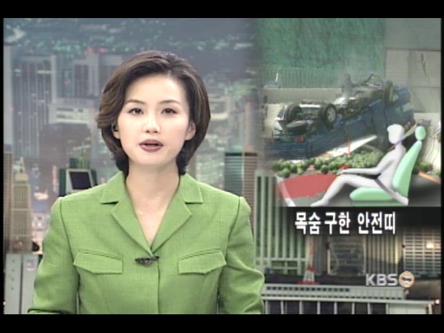 안전벨트로 목숨 건져 