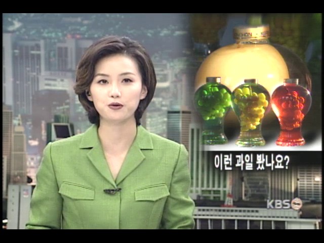 병배.병포도, 과수농가에 효자 