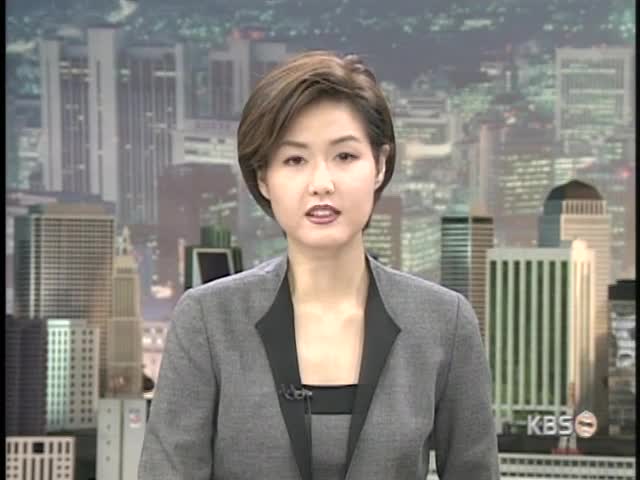 생존자 구조작업 본격 