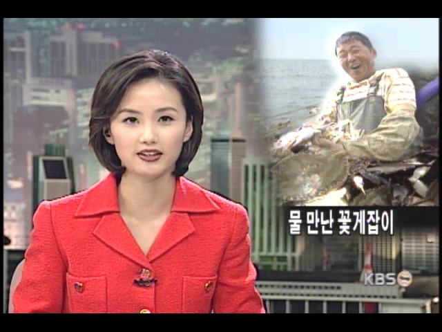 물 만난 꽃게잡이 